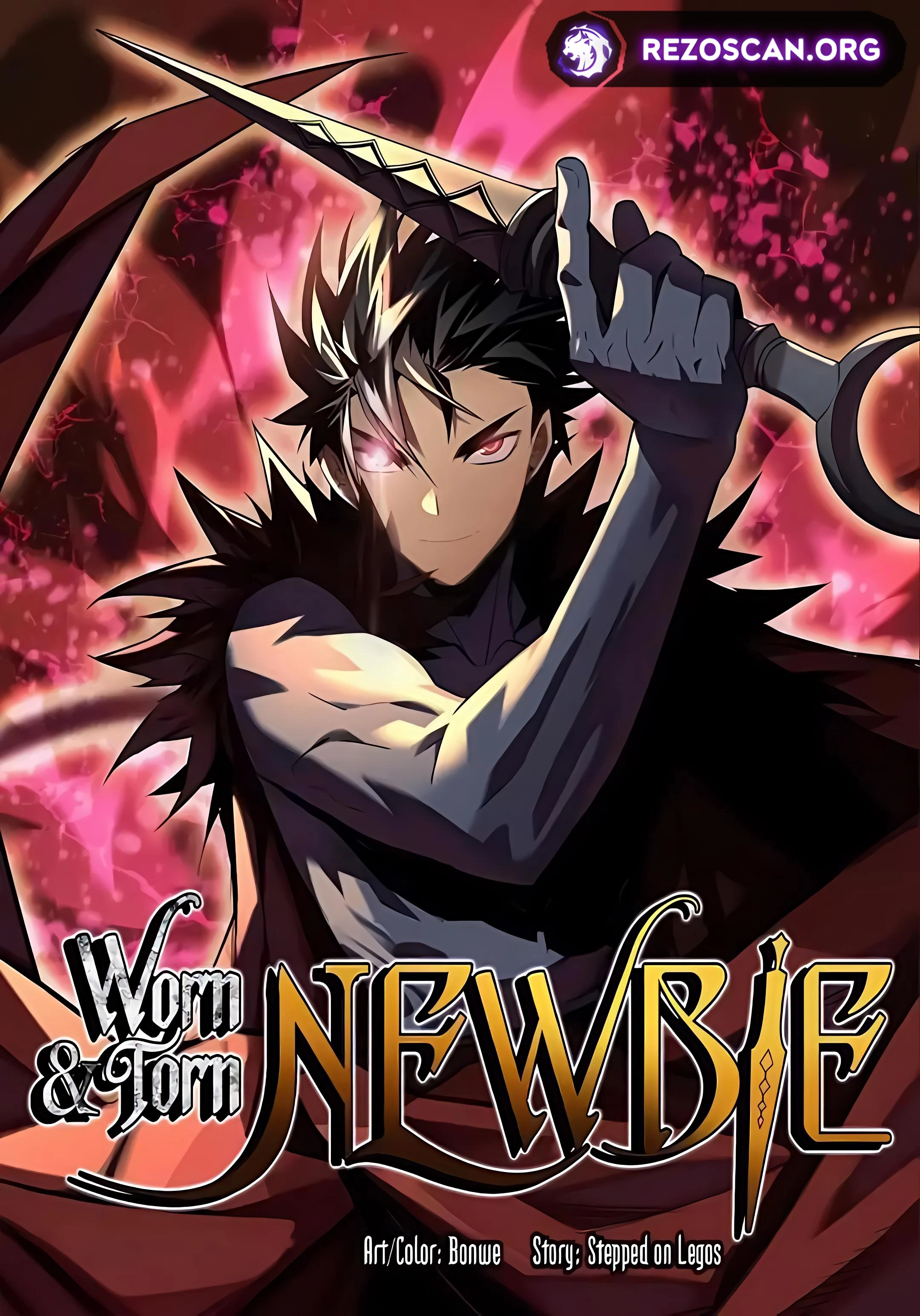 The Worn and Torn Newbie